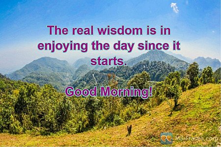 The real wisdom is in enjoying the day since it starts.

Good Morning!