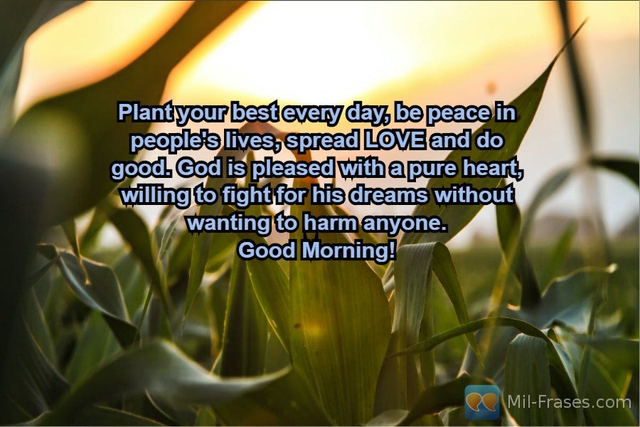 Une image avec la citation suivante Plant your best every day, be peace in people's lives, spread LOVE and do good. God is pleased with a pure heart, willing to fight for his dreams without wanting to harm anyone.
Good Morning!