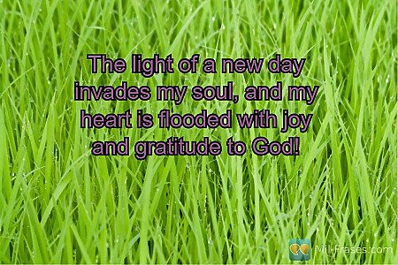 The light of a new day invades my soul, and my heart is flooded with joy and gra...