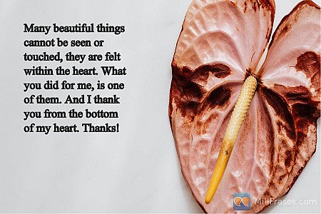 Many beautiful things cannot be seen or touched, they are felt within the heart....