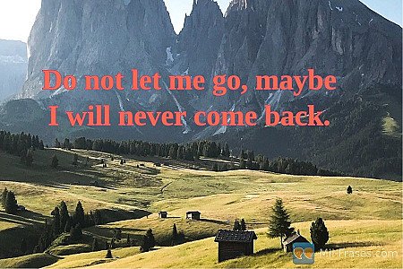 Do not let me go, maybe I will never come back.
