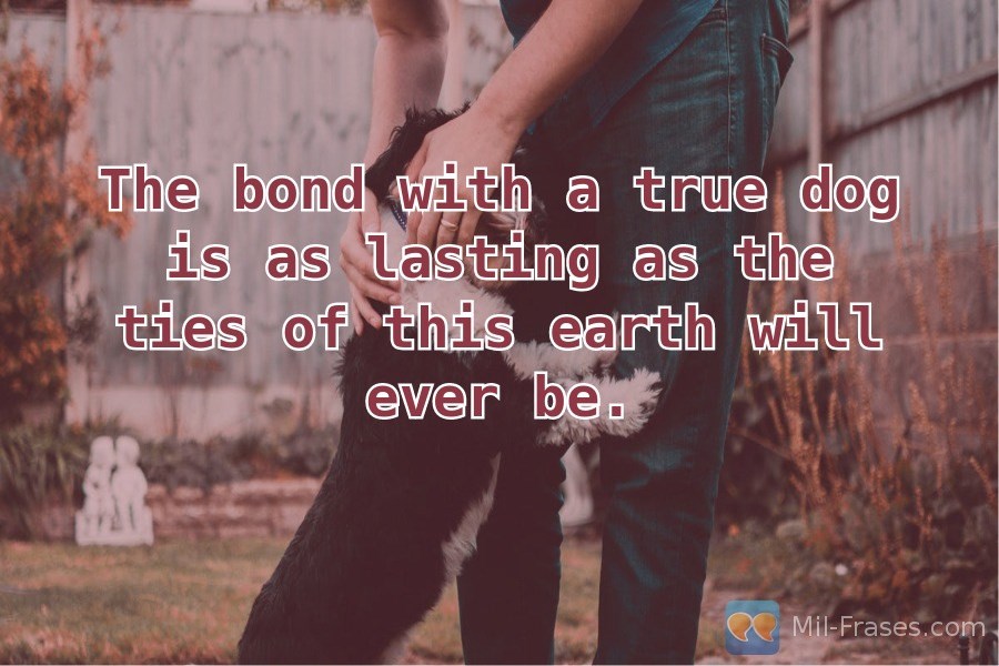 Uma imagem com a seguinte frase The bond with a true dog is as lasting as the ties of this earth will ever be.
