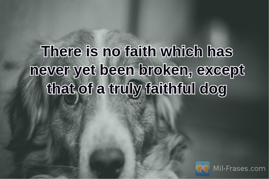 Uma imagem com a seguinte frase There is no faith which has never yet been broken, except that of a truly faithful dog