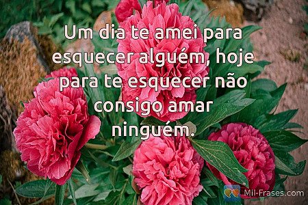 Um dia te amei para esquecer alguém, hoje para te esquecer não consigo amar ning...