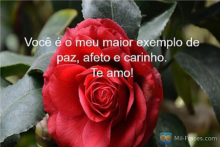 Você é o meu maior exemplo de paz, afeto e carinho.
Te amo!