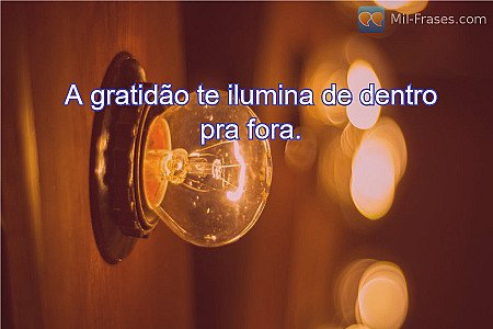 A gratidão te ilumina de dentro pra fora.
