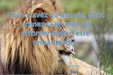 Vous n'avez qu'une vie, donc prenez-la en main et efforcez-vous d'être remarquab...