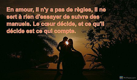En amour, il n'y a pas de règles, il ne sert à rien d'essayer de suivre des manu...