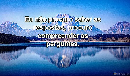 Eu não procuro saber as respostas, procuro compreender as perguntas.
