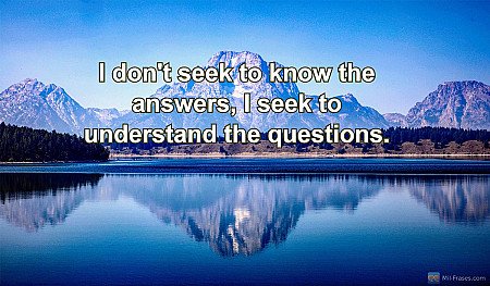 I don't seek to know the answers, I seek to understand the questions.