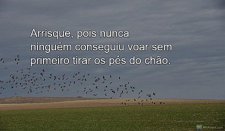 Arrisque, pois nunca ninguém conseguiu voar sem primeiro tirar os pés do chão.
