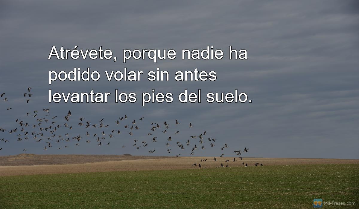 An image with the following quote Atrévete, porque nadie ha podido volar sin antes levantar los pies del suelo.
