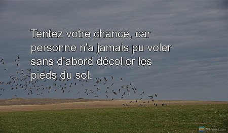 Tentez votre chance, car personne n'a jamais pu voler sans d'abord décoller les...