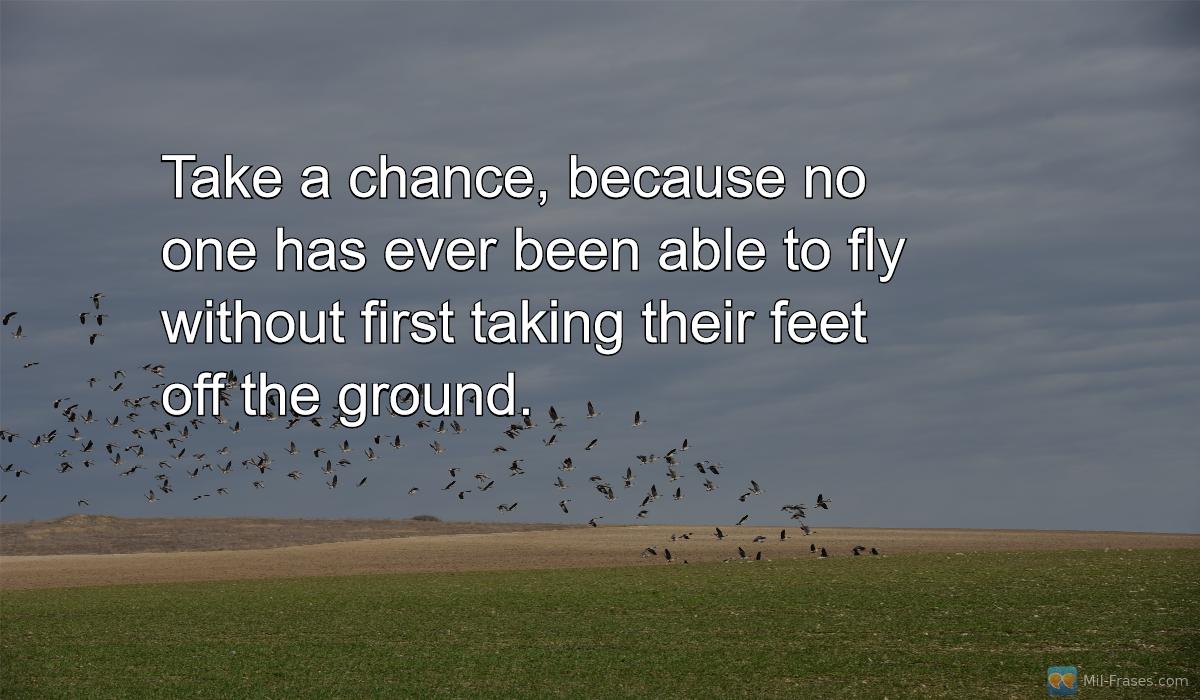 Uma imagem com a seguinte frase Take a chance, because no one has ever been able to fly without first taking their feet off the ground.