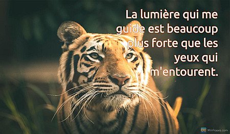 La lumière qui me guide est beaucoup plus forte que les yeux qui m'entourent.