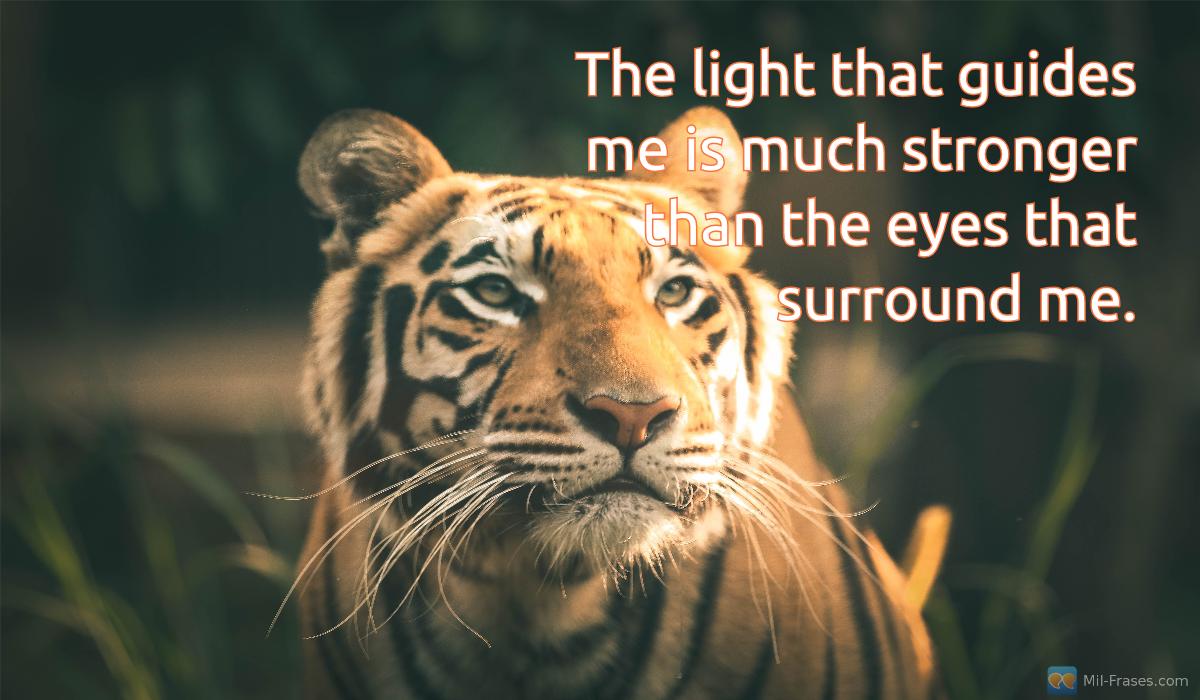 Uma imagem com a seguinte frase The light that guides me is much stronger than the eyes that surround me.