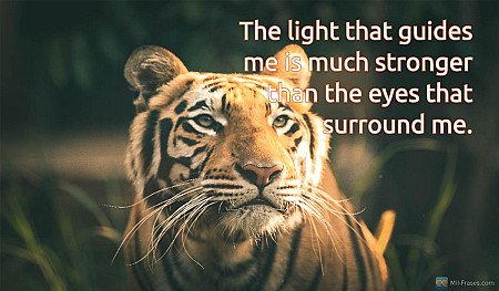 The light that guides me is much stronger than the eyes that surround me.