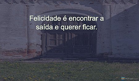 Felicidade é encontrar a saída e querer ficar.
