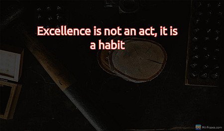 Excellence is not an act, it is a habit