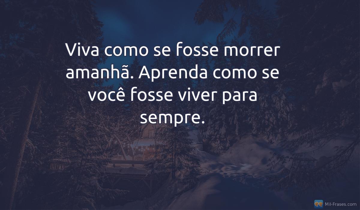An image with the following quote Viva como se fosse morrer amanhã. Aprenda como se você fosse viver para sempre.