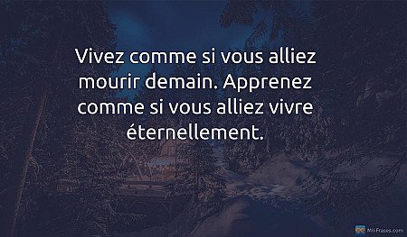 Vivez comme si vous alliez mourir demain. Apprenez comme si vous alliez vivre ét...