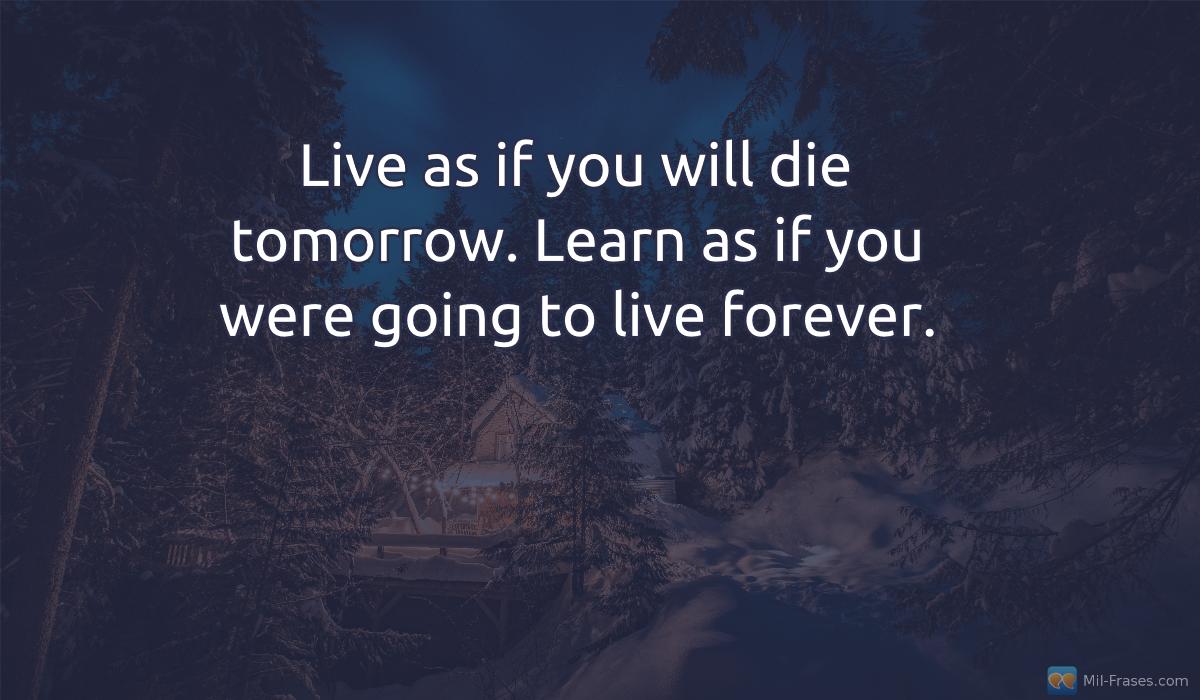 Uma imagem com a seguinte frase Live as if you will die tomorrow. Learn as if you were going to live forever.