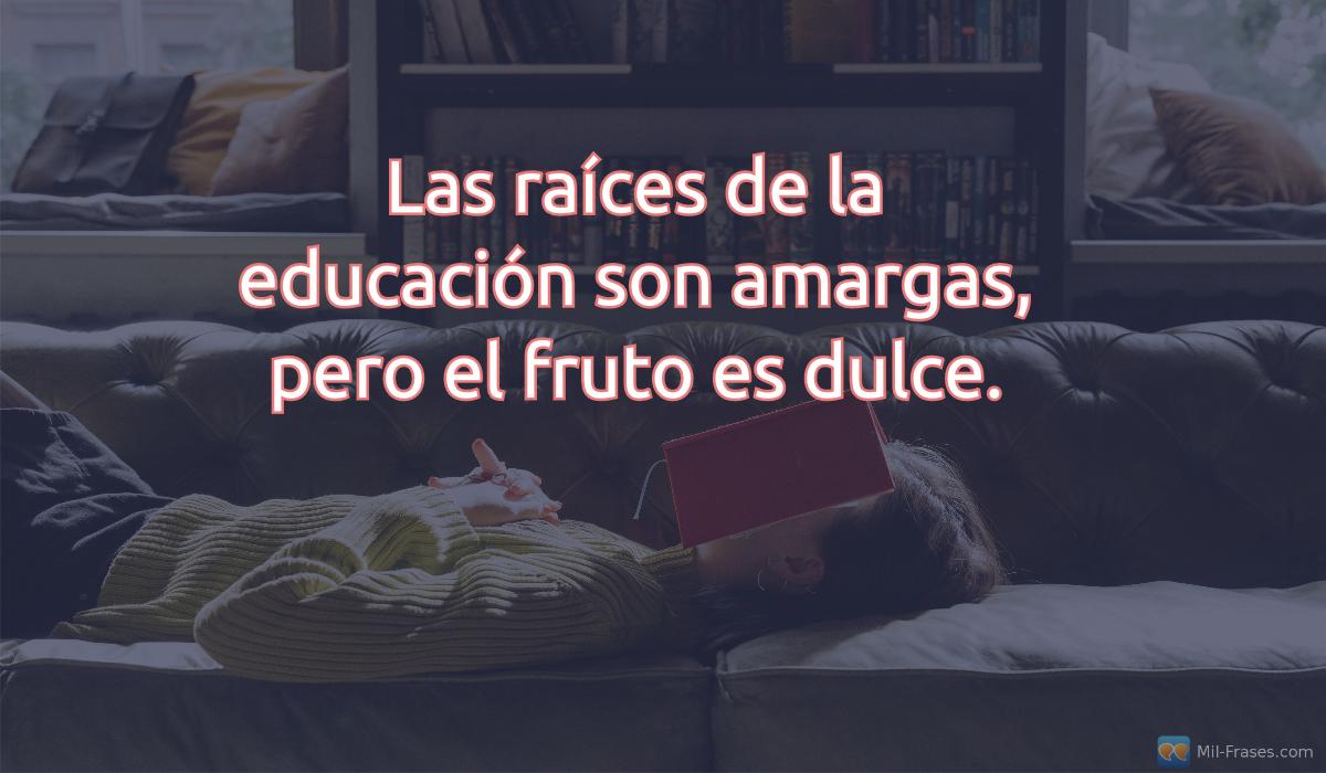 An image with the following quote Las raíces de la educación son amargas, pero el fruto es dulce.