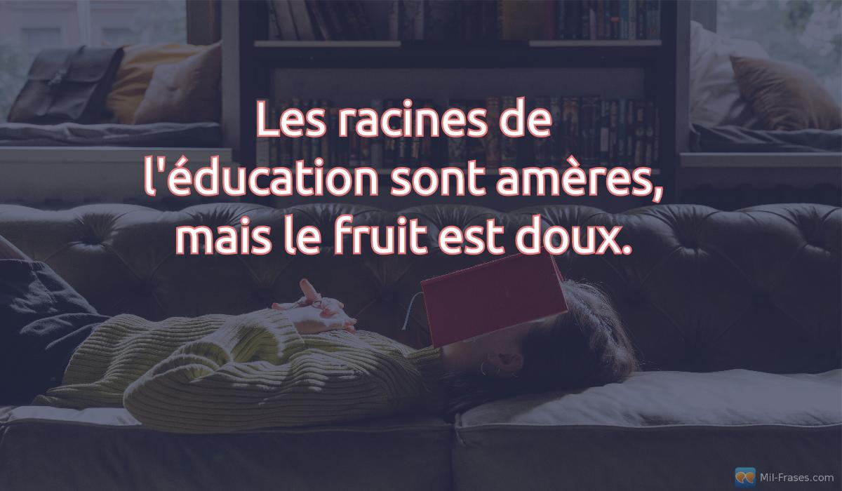 An image with the following quote Les racines de l'éducation sont amères, mais le fruit est doux.