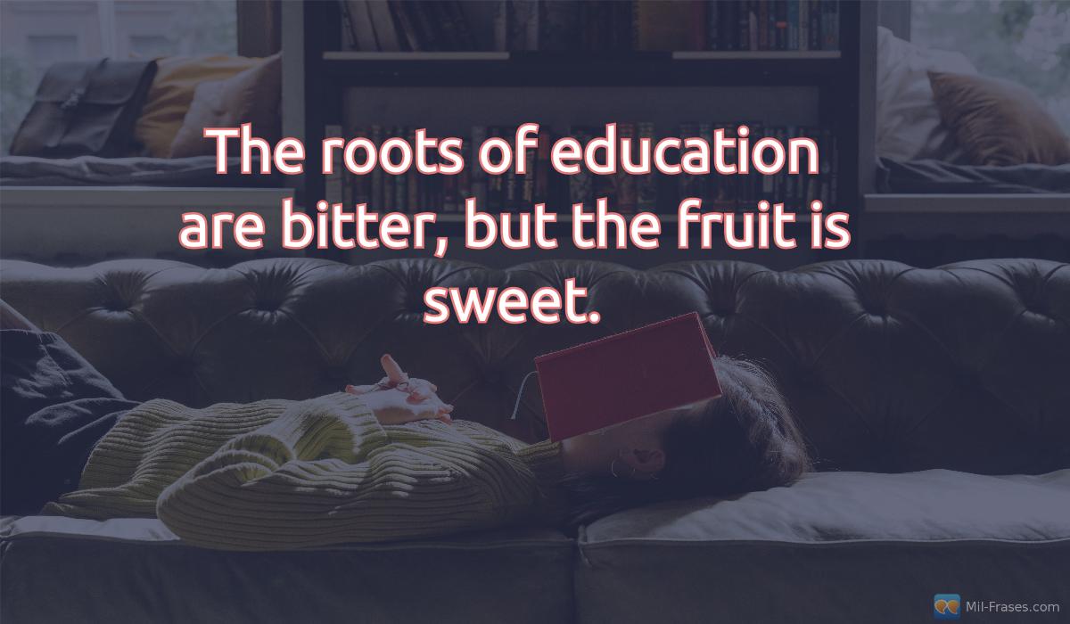 An image with the following quote The roots of education are bitter, but the fruit is sweet.