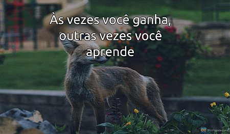 Às vezes você ganha, outras vezes você aprende
