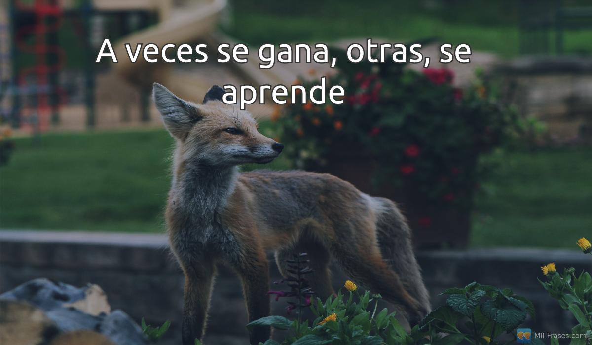 An image with the following quote A veces se gana, otras, se aprende