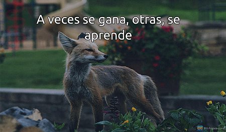 A veces se gana, otras, se aprende