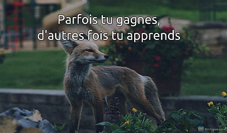 Parfois tu gagnes, d'autres fois tu apprends