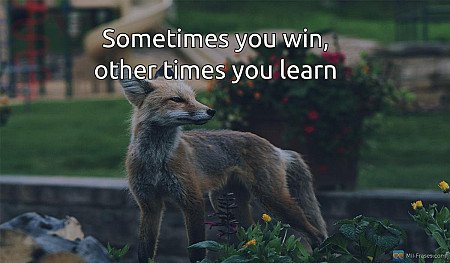 Sometimes you win, other times you learn