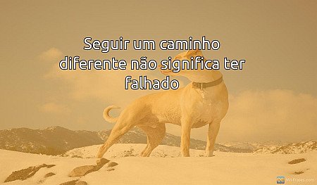 Seguir um caminho diferente não significa ter falhado