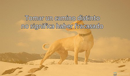 Tomar un camino distinto no significa haber fracasado