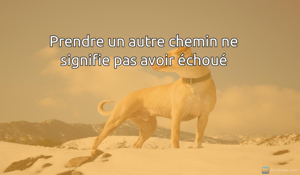 An image with the following quote Prendre un autre chemin ne signifie pas avoir échoué