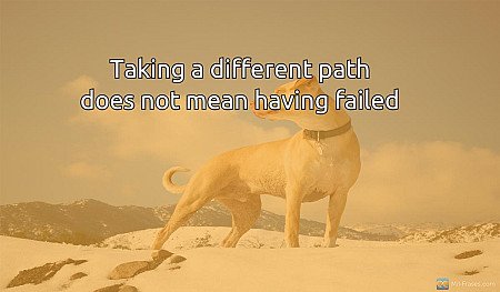 Taking a different path does not mean having failed