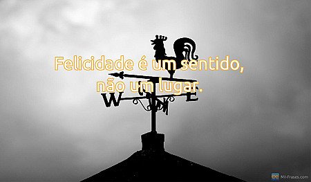 Felicidade é um sentido, não um lugar.