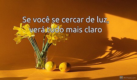 Se você se cercar de luz, verá tudo mais claro