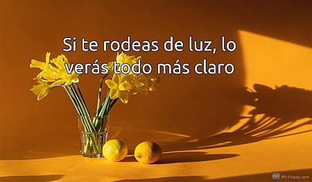 Si te rodeas de luz, lo verás todo más claro