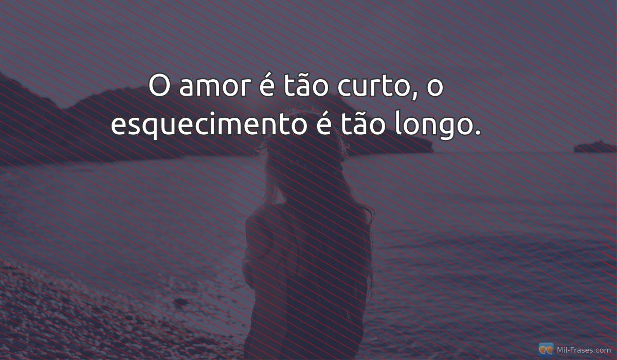 An image with the following quote O amor é tão curto, o esquecimento é tão longo.