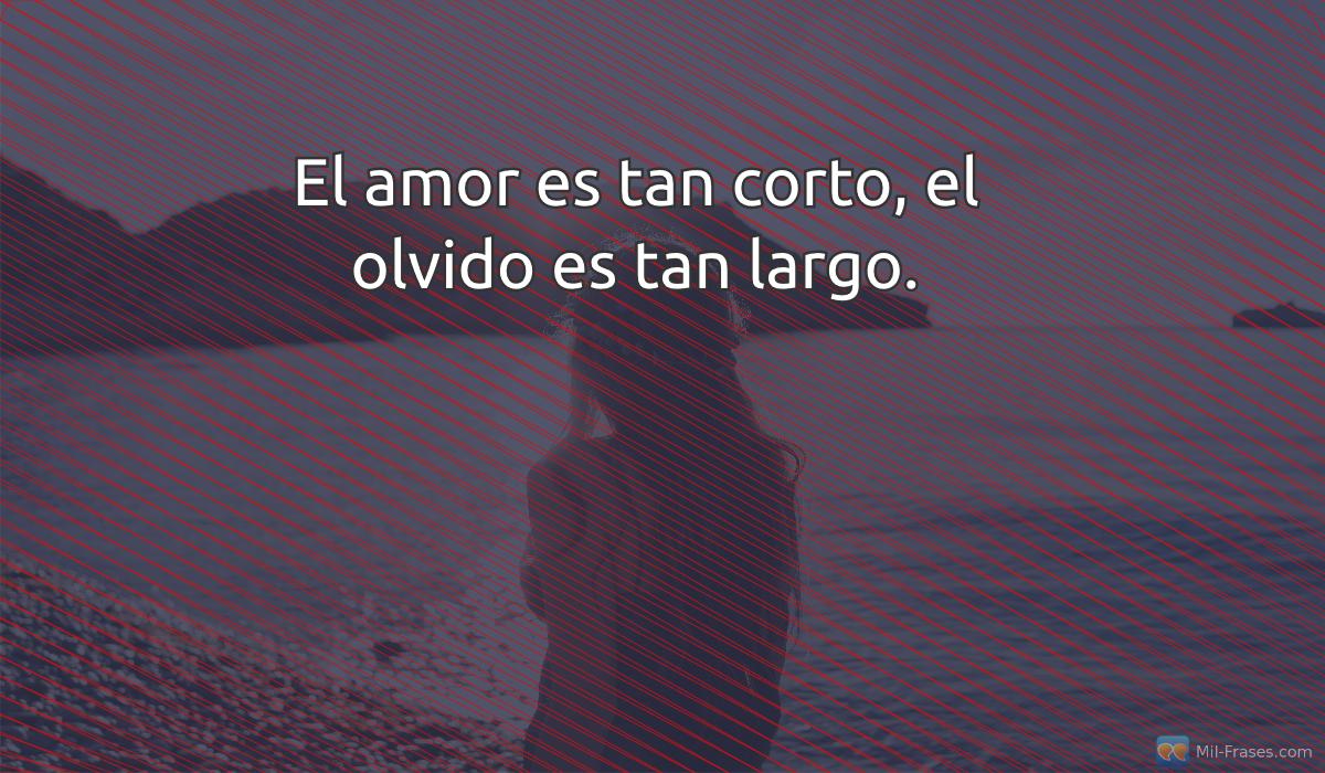An image with the following quote El amor es tan corto, el olvido es tan largo.