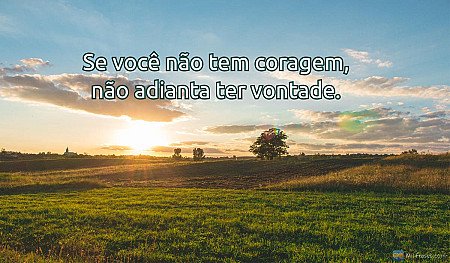Se você não tem coragem, não adianta ter vontade.