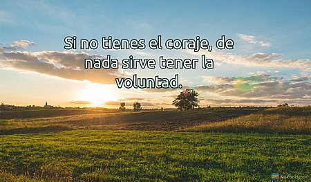 Si no tienes el coraje, de nada sirve tener la voluntad.