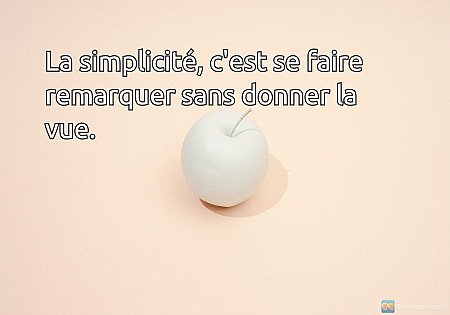 La simplicité, c'est se faire remarquer sans donner la vue.