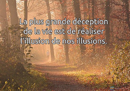 La plus grande déception de la vie est de réaliser l'illusion de nos illusions.