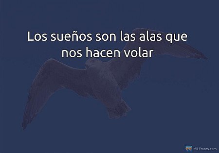 Los sueños son las alas que nos hacen volar