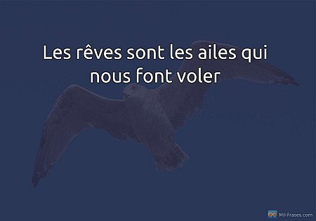 Les rêves sont les ailes qui nous font voler