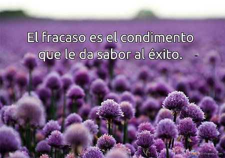 El fracaso es el condimento que le da sabor al éxito.